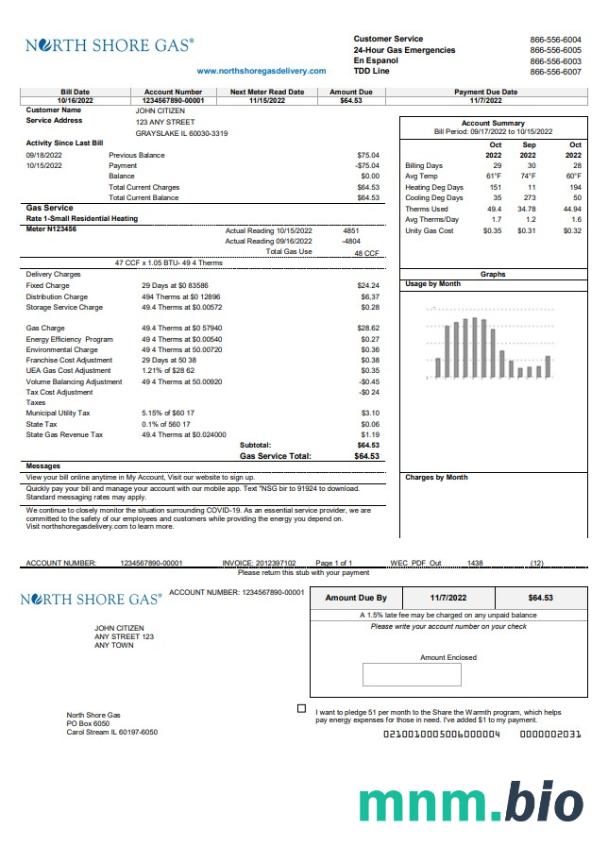 USA Illinois North Shore gas rachunek za media szablon w formacie Word i PDF